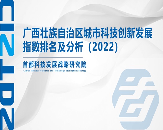 啦啦啦啦www黄色av视频【成果发布】广西壮族自治区城市科技创新发展指数排名及分析（2022）